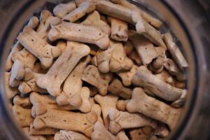 Sobe para três número de cães mortos por suspeita de petisco contaminado em Goiás (Foto: Pixabay)