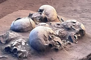 Ao todo, dez crânios foram encontrados. Crânios de pessoas do período pré-colonial são encontrados em Serranópolis