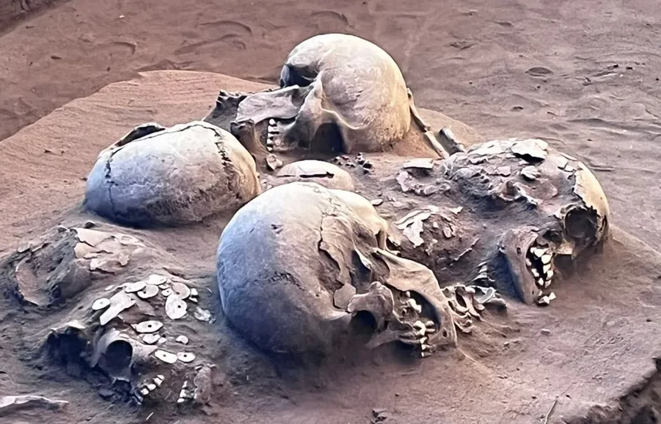 Ao todo, dez crânios foram encontrados. Crânios de pessoas do período pré-colonial são encontrados em Serranópolis