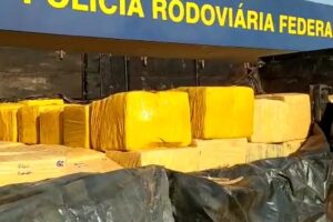 Adolescente é apreendido com 5,5 toneladas de maconha na BR-364, em Paranaiguara (GO)