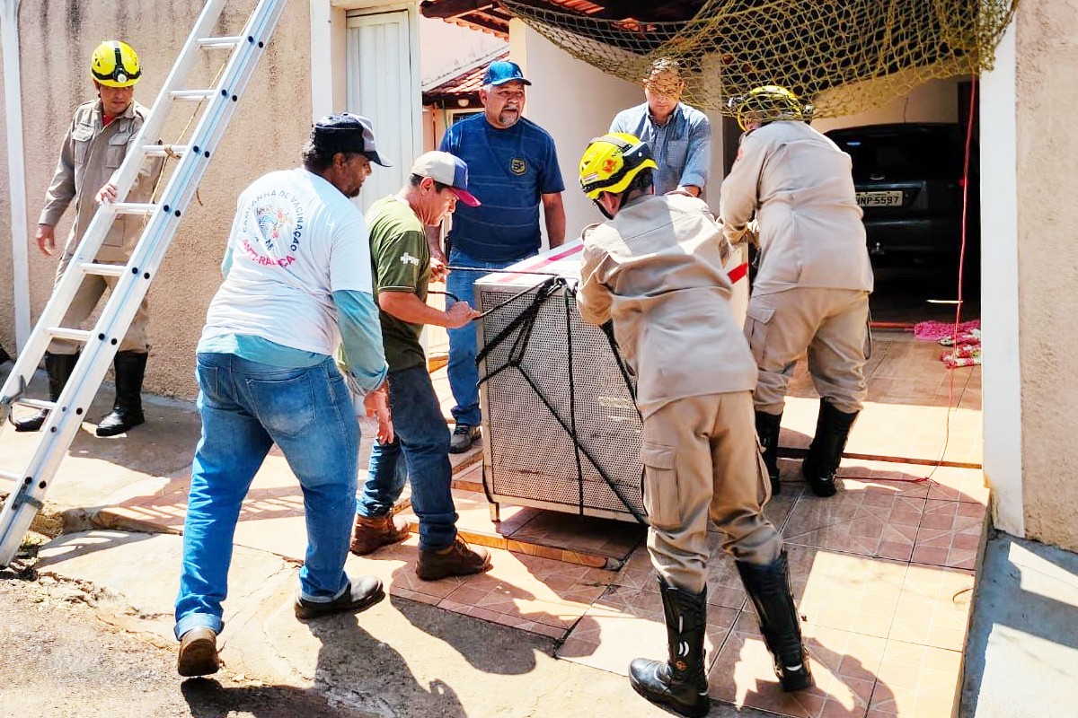 Bombeiros de Itumbiara capturam onça adulta em garagem residencial (Foto: Divulgação)