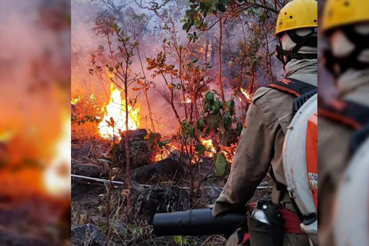 Raios provocam incêndio e atingem 60 hectares na Chapada dos Veadeiros 