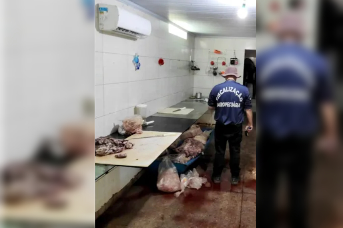 Uma ação da Agência Goiana de Defesa Agropecuária (Agrodefesa) fechou uma fábrica clandestina de espetinhos de carne nesta quinta-feira (10). Estabelecimento ilegal estava situado na região noroeste de Goiânia. No local, foram apreendidos mais de uma tonelada de produtos impróprios para o consumo, que serão descartados no aterro sanitário.