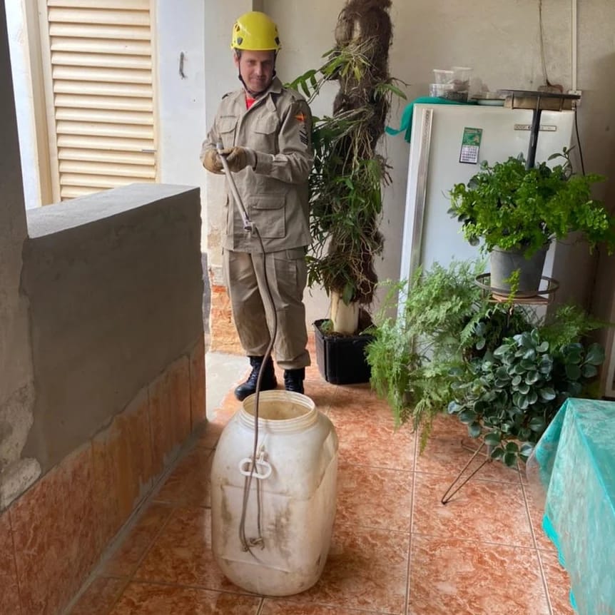 Bombeiros tiram cobra de dentro de freezer residencial em Ipameri (Foto: Bombeiros)