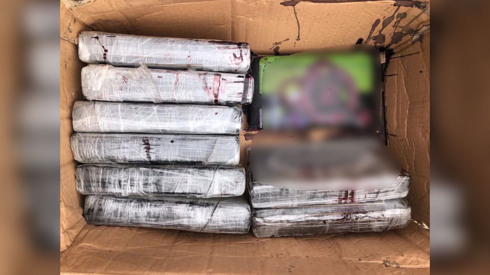 PF investiga grupo que exportou 320 Kg de cocaína escondidos em açaí para Europa