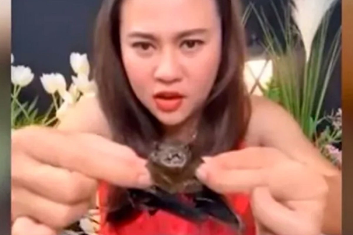 Influenciadora tailandesa come morcego em vídeo do Youtube e é presa