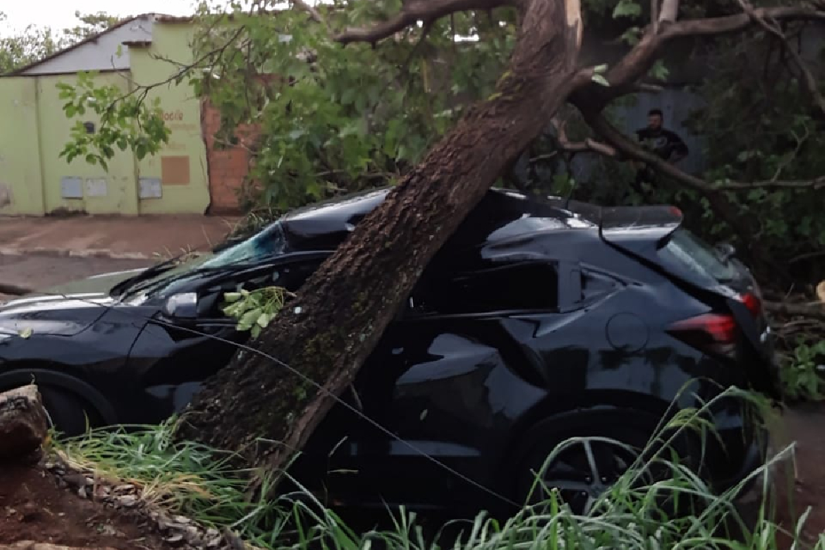 Em Aparecida de Goiânia, neste sábado (8), a chuva de granizo provocou a queda de árvores, de fachadas de lojas e de energia elétrica