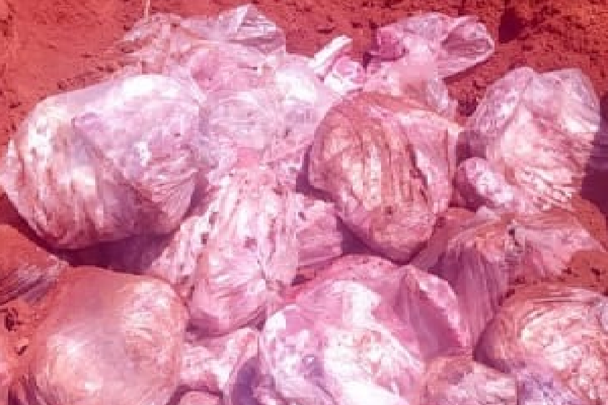 A Polícia Militar (PM) apreendeu meia tonelada de carne bovina imprópria para consumo, em um abate clandestino na cidade de Marzagão, na região Sul de Goiás. A ação contou com o apoio da Agrodefesa, que multou o local em R$ 6 mil.