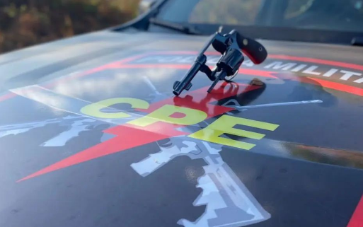 Arma apreendida na ação (Foto: Divulgação)