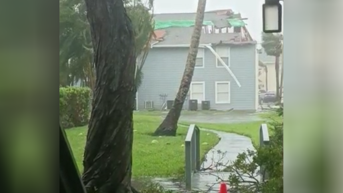 Foto: Reprodução - Redes Sociais