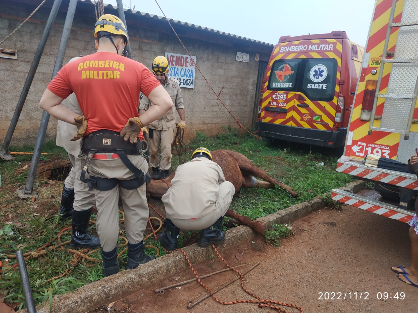 Bombeiros resgatam cavalo que caiu em fossa (Foto: Divulgação - Bombeiros)
