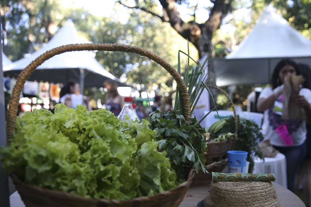 Programa convoca jovens a desenvolver soluções sustentáveis globais
