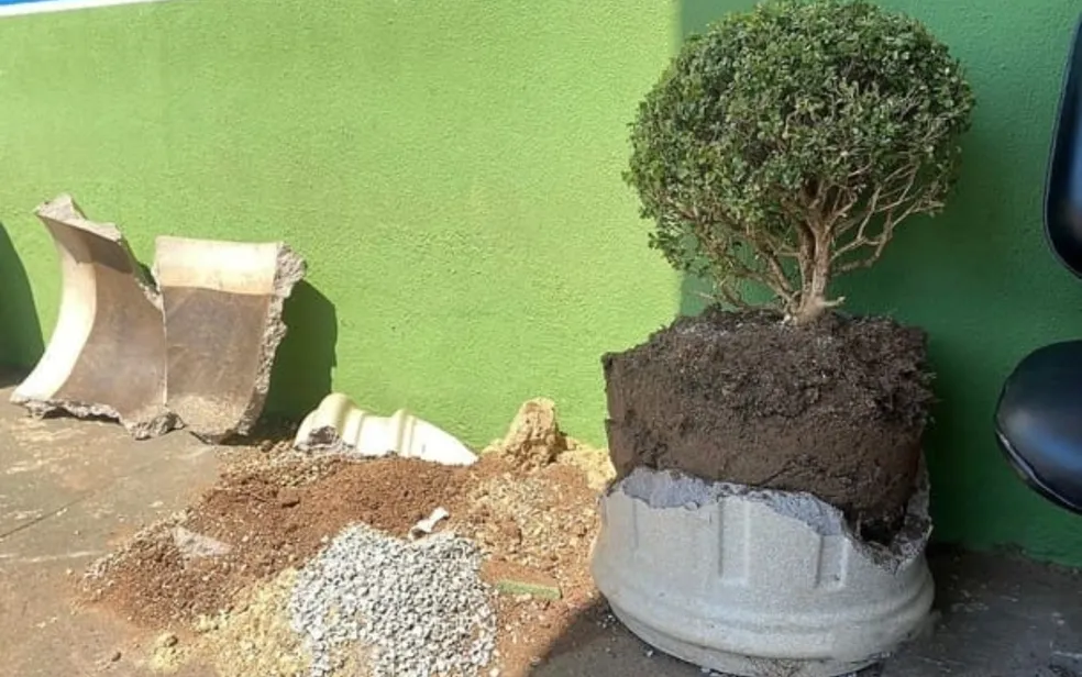 Pai perdeu o controle da direção do carro e atingiu um vaso de planta da UPA devido ao estado de desespero 