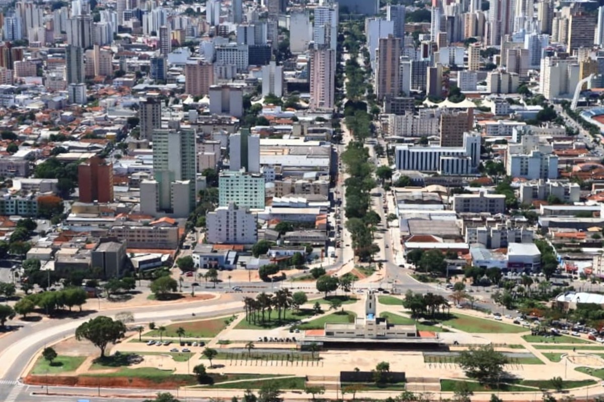 Goiânia terá 26 mil novas árvores, como compensação ambiental por obras do BRT (Foto: Divulgação)
