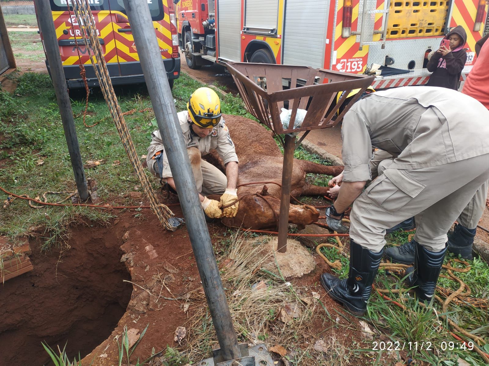 Bombeiros resgatam cavalo que caiu em fossa (Foto: Divulgação - Bombeiros)