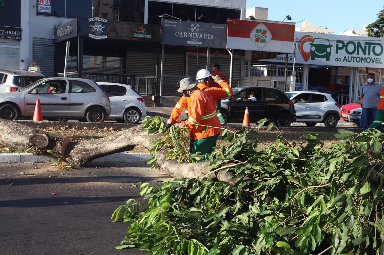 Os serviços da Comurg vão seguir normalmente pela capital