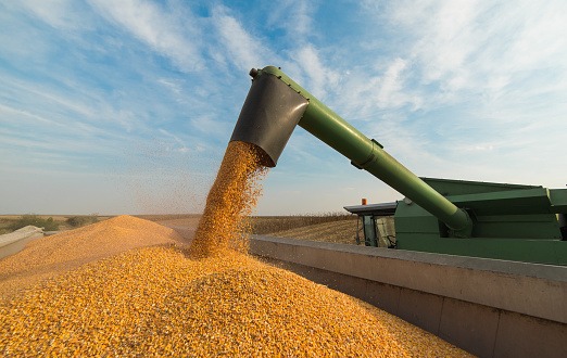 Rússia suspende participação em acordo de grãos com a Ucrânia