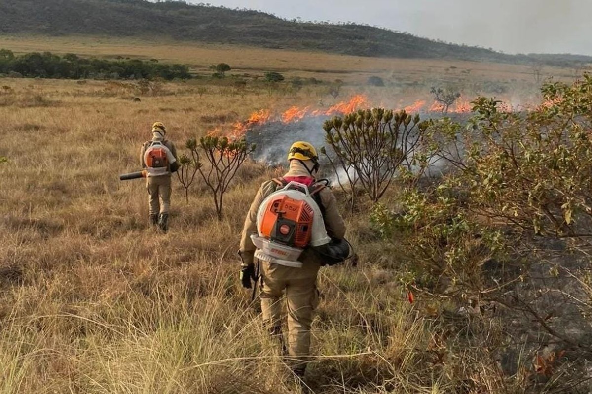 Bombeiros encerram operação Guardiões do Bioma com 146 incêndios registrados