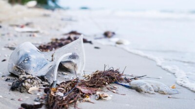 Brasil atinge menor número de praias limpas em 6 anos