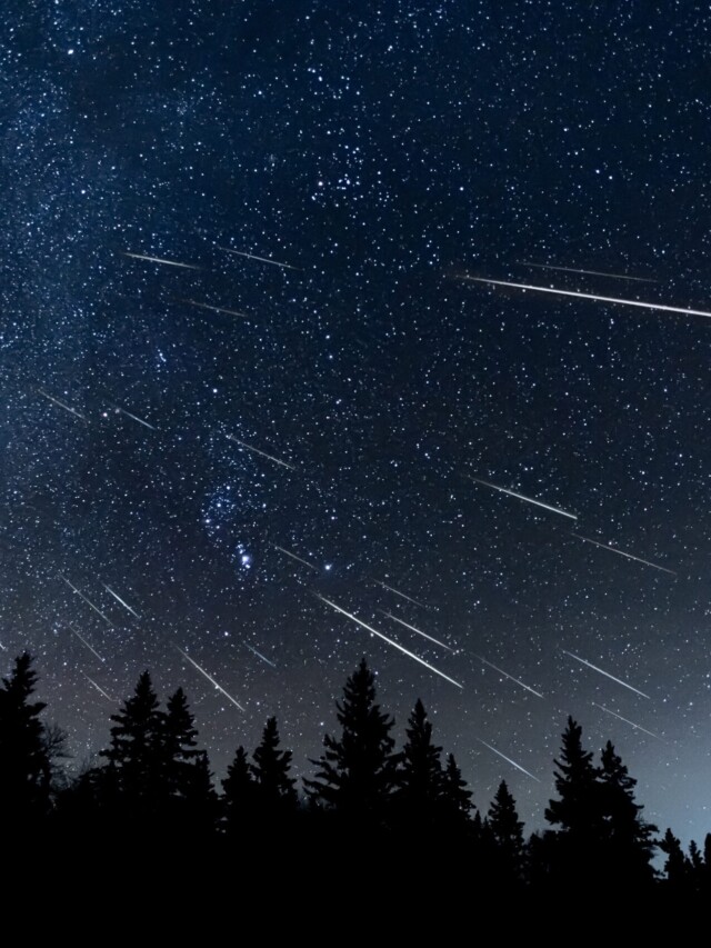 A última Chuva De Meteoros Do Ano Tem Pico Esta Noite; Como Ver — Mais ...