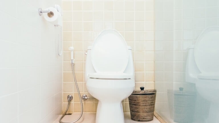 Não é o vaso: estes objetos da sua casa podem ser mais sujos do que você imagina itens que acumulam mais bactérias que o banheiro