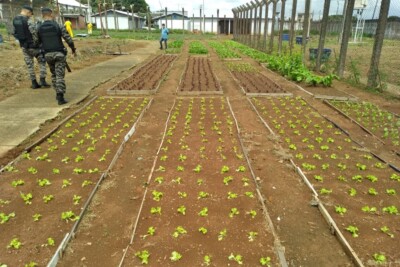 Goiânia e Estado implantam projeto Horta Comunitária em presídio de Aparecida