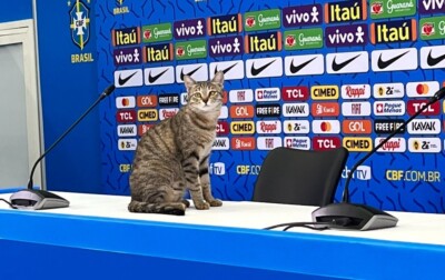 Gato apelidado de Hexa na coletiva da seleção brasileira