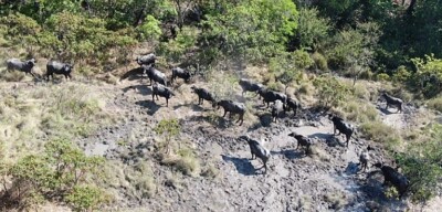 Kalungas denunciam invasão de terras na região da Chapa dos Veadeiros