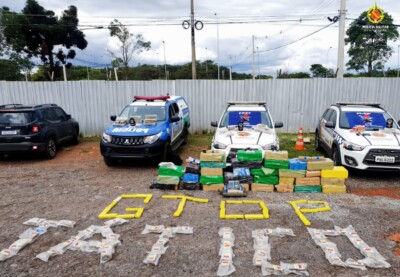 Apreensão da carga de maconha ocorreu em Santo Antônio do Descoberto e Recanto das Emas. (Foto: divulgação)