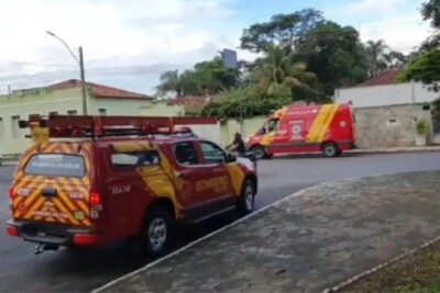 Idosa morre após ataque de cachorro em Morrinhos