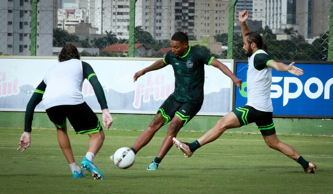 fernandn