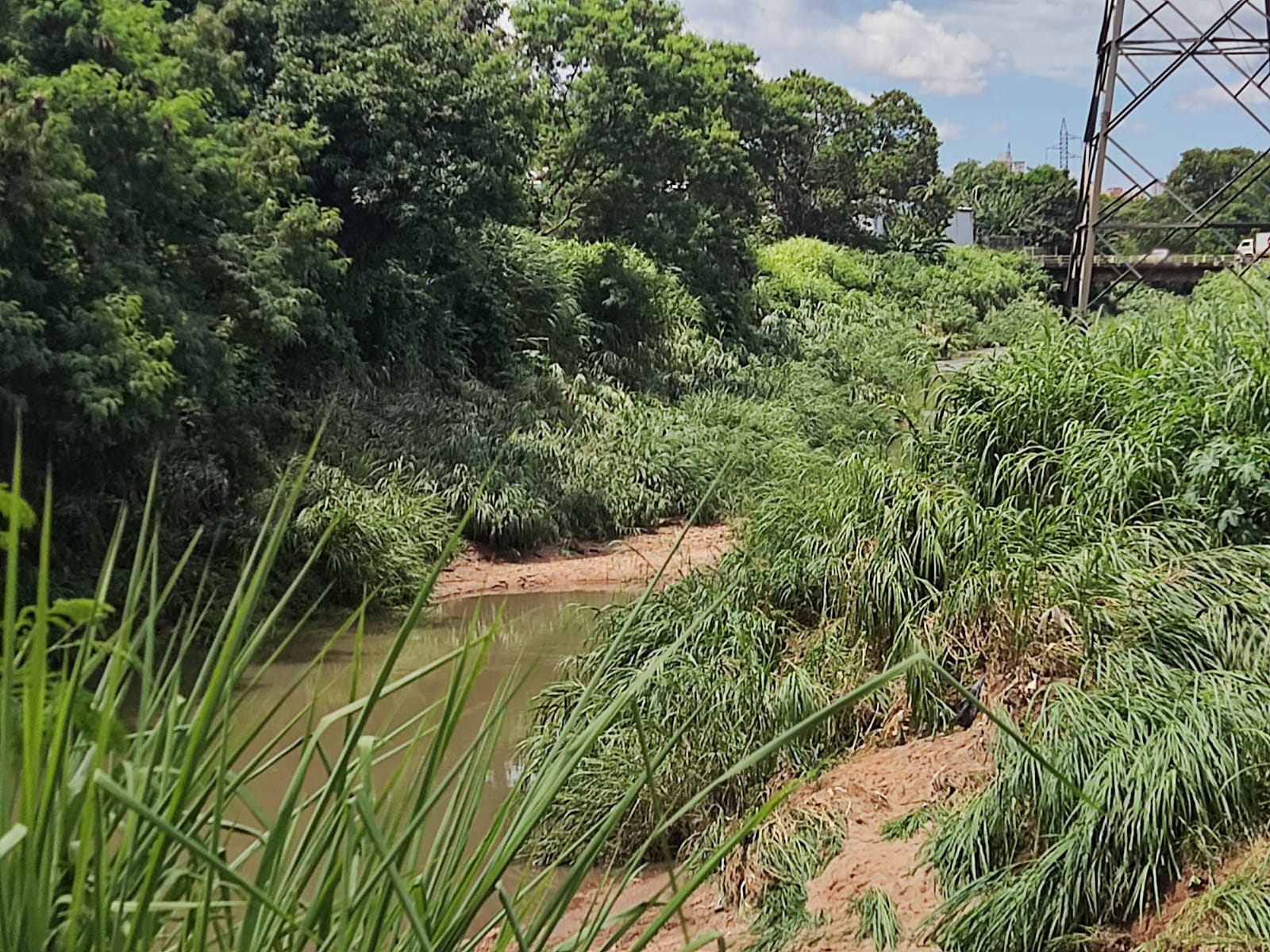 Volume de água do Córrego Cascavel deixou corpo de motociclista preso a 5 metros de altura em torre de energia, aponta bombeiro (Foto: Divulgação - Corpo de Bombeiros)