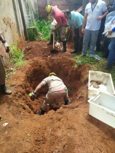 PC confirma que os ossada encontrada são da adolescente Thais Lara (Foto: Divulgação/Polícia Civil)
