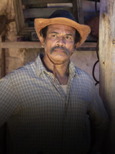 Base-Capa-Webstories-MAR-DO-SERTÃO