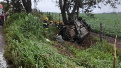 Um motorista por aplicativo, morreu após o carro dele sair da pista e bater em uma árvore na GO-415, em Goianápolis
