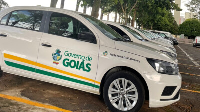 O Governo de Goiás emprestou dez veículos ao Instituto Brasileiro de Geografia e Estatística (IBGE) para agilizar o trabalho dos recenseadores que coletam informações para o Censo Demográfico 2022 no Estado. Os carros serão disponibilizados até 22 de fevereiro.