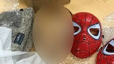 Cabeça estava com um gorro de lã Cabeça decapitada é encontrada em máscara do Homem-Aranha enviada pelo correio na Argentina