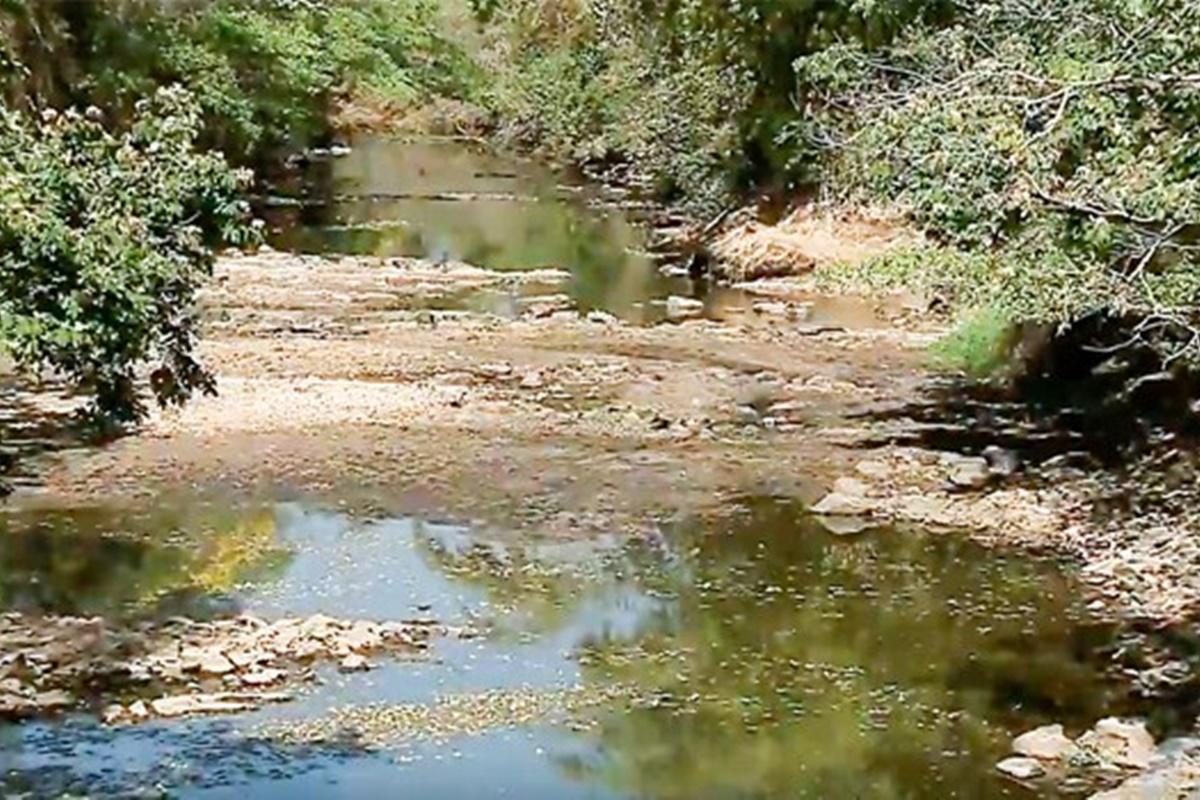Projeto obriga prefeitura a identificar todas nascentes de Goiânia