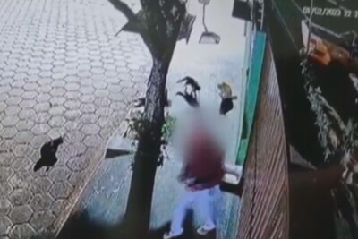 Polícia investiga idoso suspeito de envenenar gatos em Caçu