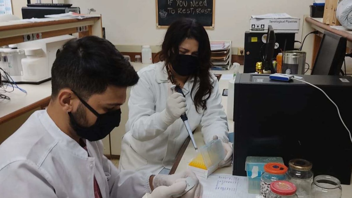 Pesquisadores da UEG descobrem novas espécies de cogumelo e bolor