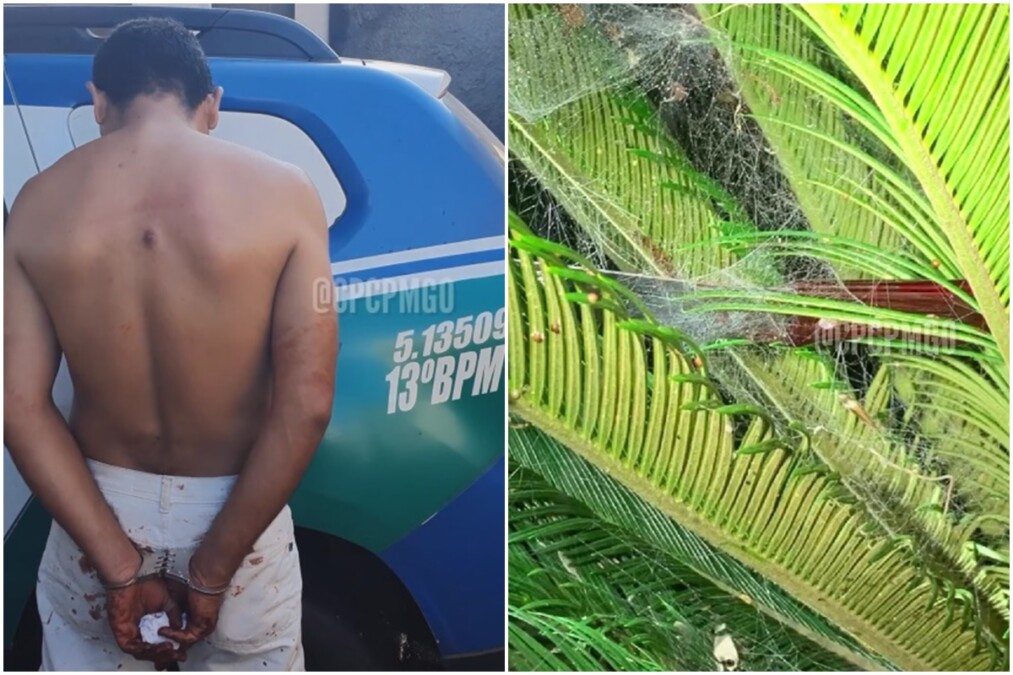 PM prende em Goiânia suspeito de esfaquear homem por causa de mensagens de App