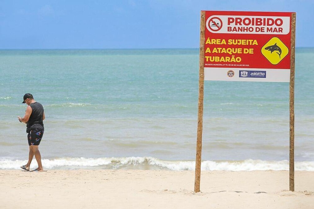 Estado busca alternativas para reduzir casos após série de mordidas Pernambuco ajusta placas e quer monitorar tubarões por chip