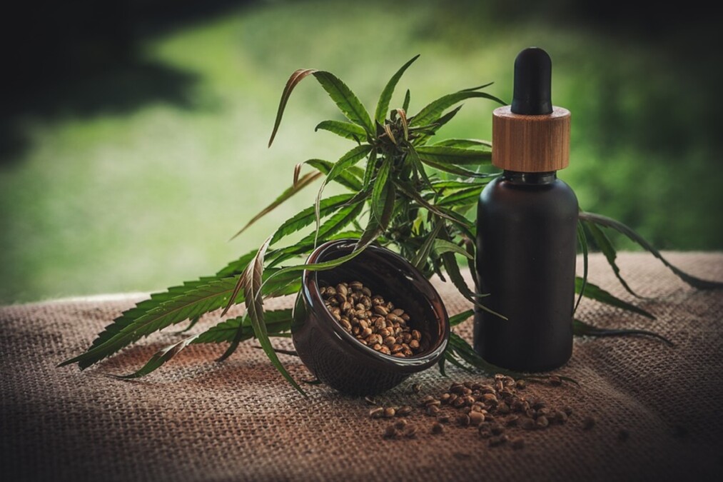 Goiânia poderá ter carteirinha de identificação para pacientes de ‘cannabis’ medicinal