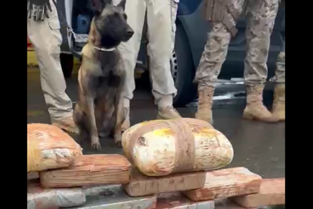 PRF e PM prendem dois homens e apreendem 70 kg de drogas, em Goiânia