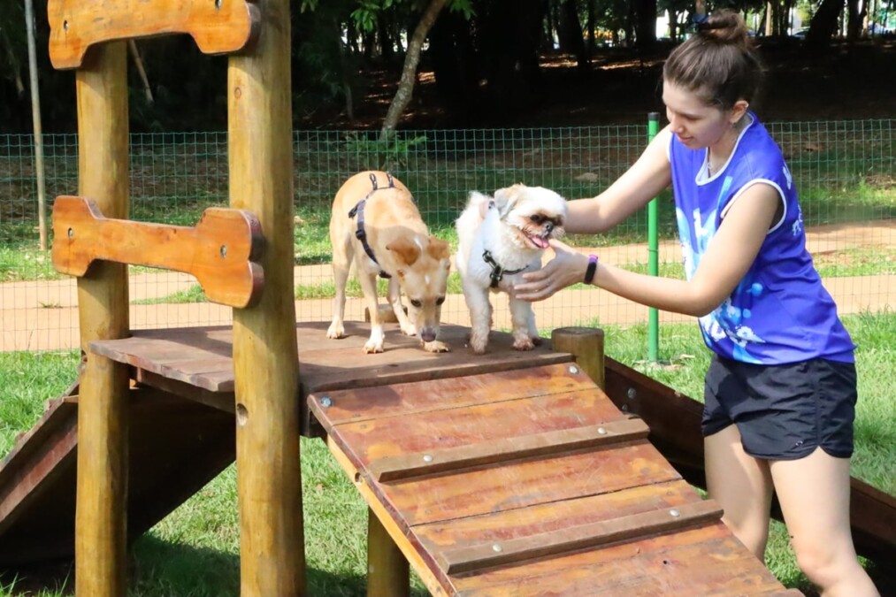 Goiânia realiza 1º Cãominhada no próximo domingo