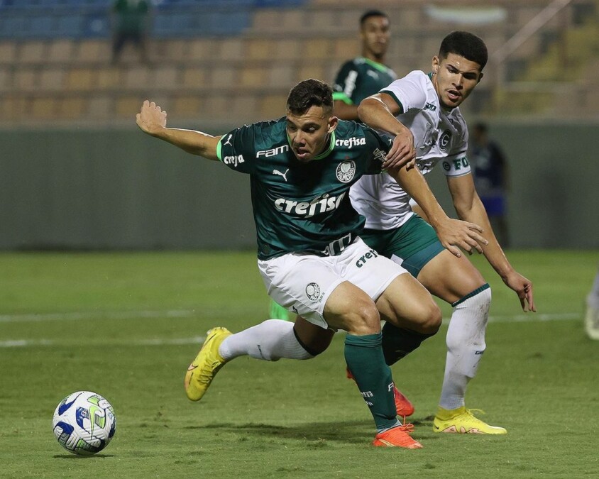 nolasco daniel palmeiras