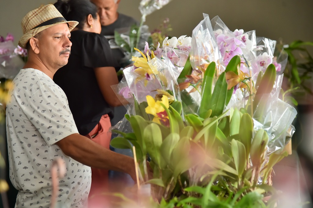 17ª Exposição de Orquídeas e Rosas do Deserto Aparecida de Goiânia