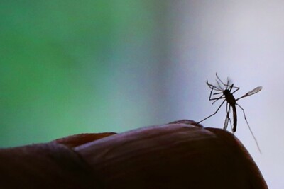 Anvisa confirma novo caso de malária em navio fundeado em Santos