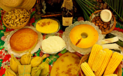 Festival Gastronômico do Cerrado e Festa do Milho