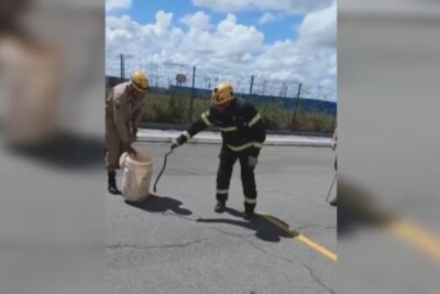 Bombeiros resgatam cobra em supermercado de Caldas Novas